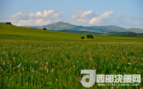 錫林郭勒草原。吳勇攝