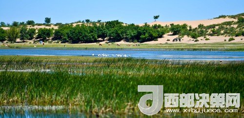 阿魯科爾沁保護(hù)區(qū)濕地沙丘。吳勇攝