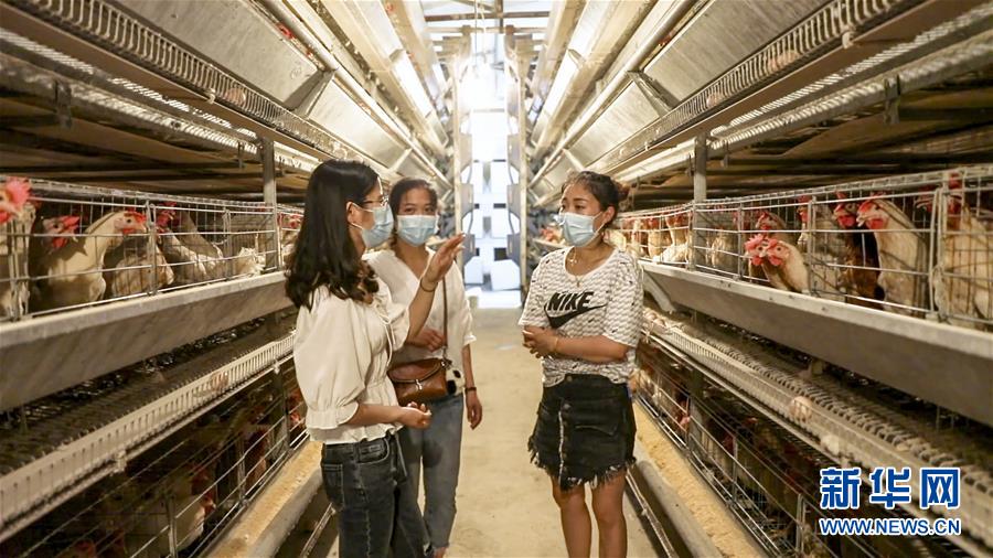 （新華全媒頭條·圖文互動(dòng)）（4）基層天地廣闊 青春大有作為——聚焦“三支一扶”計(jì)劃實(shí)施十五年