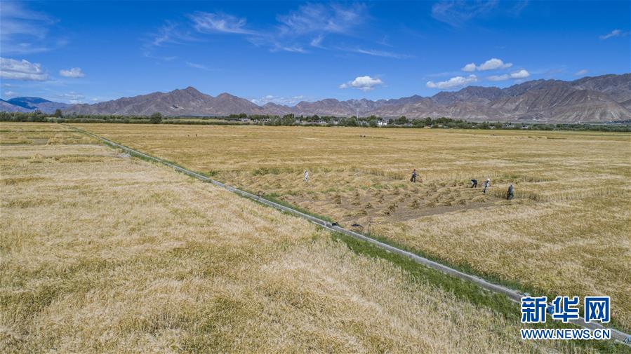 （新華全媒頭條·走向我們的小康生活·圖文互動(dòng)）（11）扎西德勒，我們的新家園——西藏易地扶貧搬遷搬出幸福美好新生活