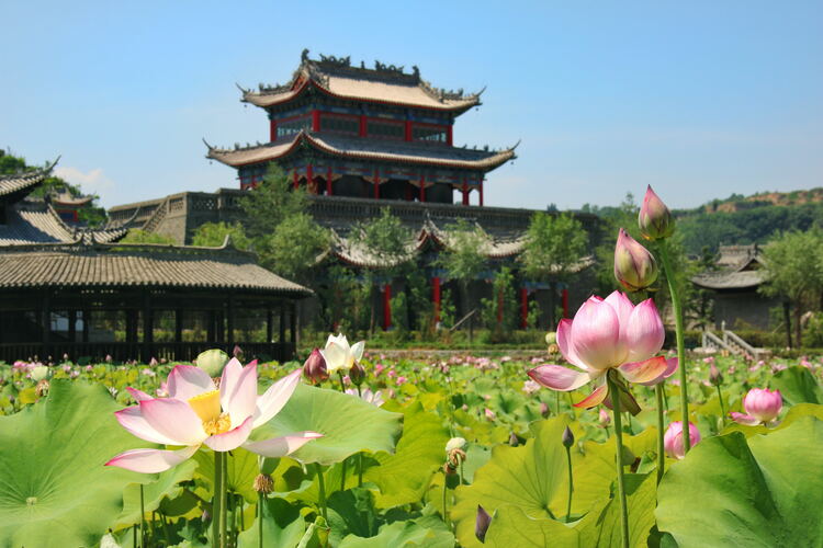 【云游渭南】心中若有桃花源，此處便是水云間！待疫情散盡，一起來渭南桃花源賞美景、觀民俗、享美食_fororder_2